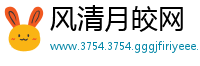 风清月皎网